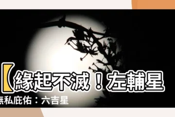 【左輔星】【緣起不滅！左輔星的無私庇佑：六吉星與四化能量的深度解析】