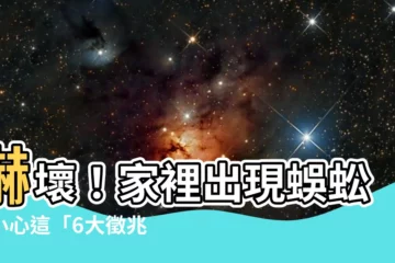 【家裡有蜈蚣代表什麼】嚇壞！家裡出現蜈蚣，小心這「6大徵兆」！