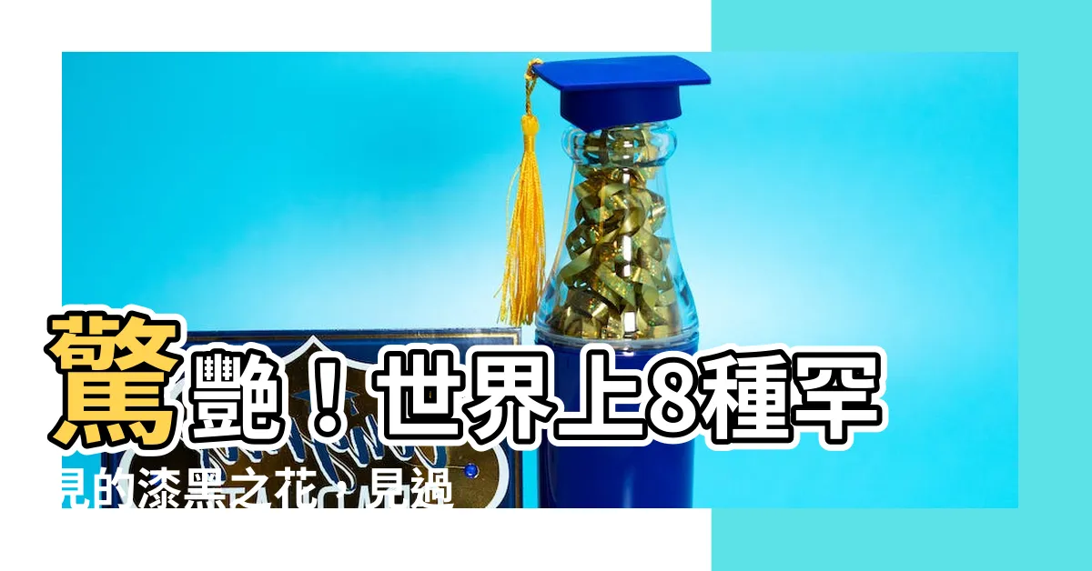 【黑色的花】驚艷！世界上8種罕見的漆黑之花，見過幾種？