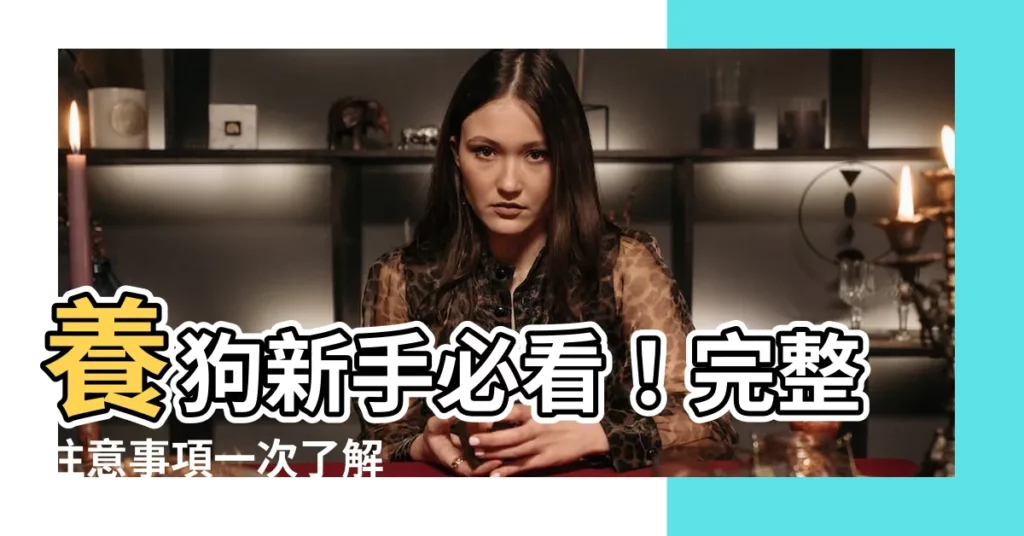 【養狗的注意事項】養狗新手必看！完整注意事項一次瞭解