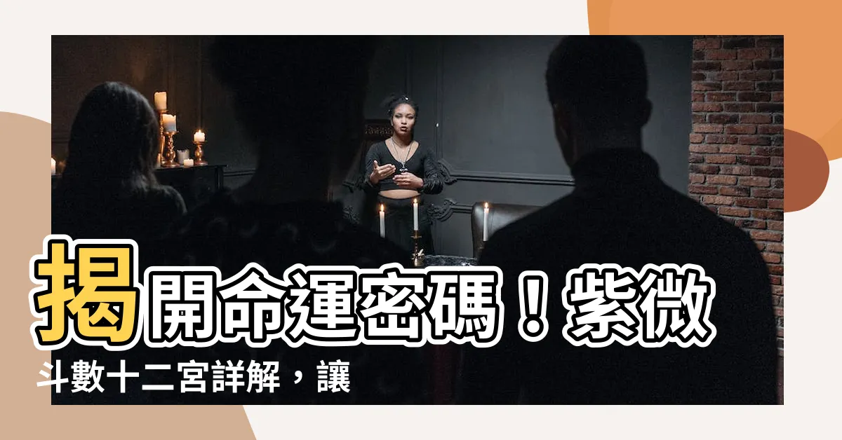 【紫微鬥數 十二宮】揭開命運密碼！紫微鬥數十二宮詳解，讓你掌握人生走向