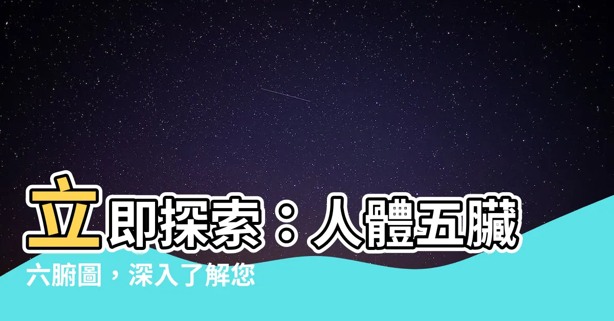 【五臟六腑圖】立即探索：人體五臟六腑圖，深入瞭解您的健康！