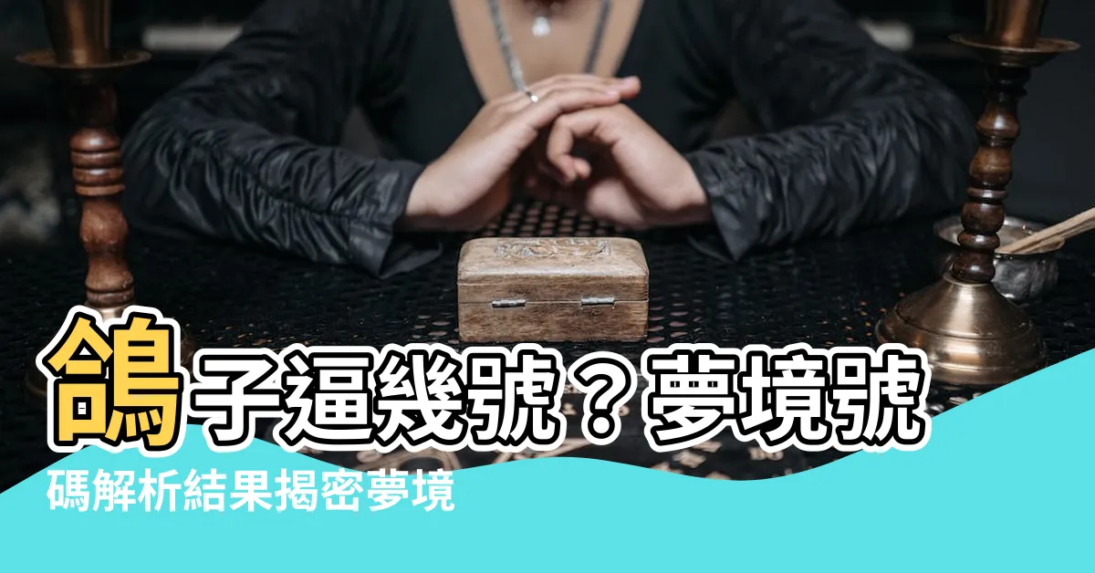 【鴿子逼幾號】鴿子逼幾號？夢境號碼解析結果揭密夢境傳説之樂透數字