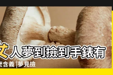 【夢到撿到手錶什麼意思】女人夢到撿到手錶有什麼含義 |夢見撿到手錶 |夢見撿到手錶什麼預兆夢見撿到手錶好不好 |