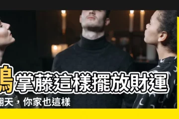 【鵝掌藤風水】鵝掌藤這樣擺放財運旺翻天，你家也這樣擺了嗎？