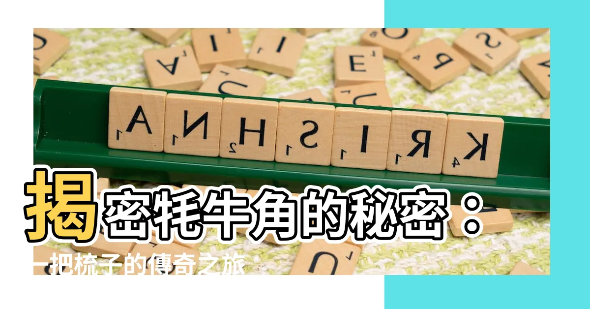 【犛牛角】揭密犛牛角的秘密：一把梳子的傳奇之旅
