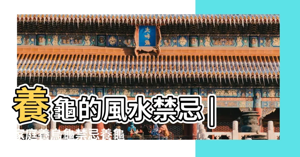 養龜的風水禁忌 |家庭養烏龜禁忌養龜窮三代養龜的風水講究 |這幾點風水禁忌最需要注意 |【養烏龜禁忌】