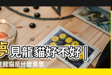 【周公解夢夢見龍貓】夢見龍貓好不好 |夢見龍貓是什麼意思 |夢到龍貓意味着什麼 |