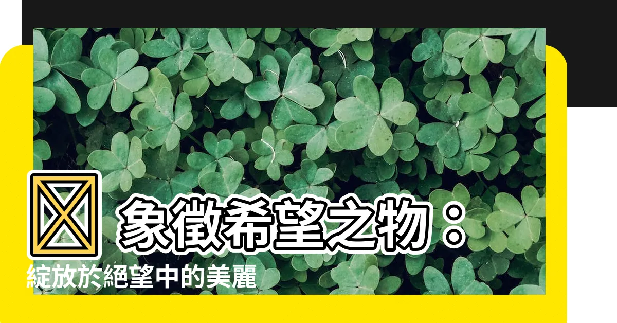【代表希望的東西】✨ 象徵希望之物：綻放於絕望中的美麗 🌸