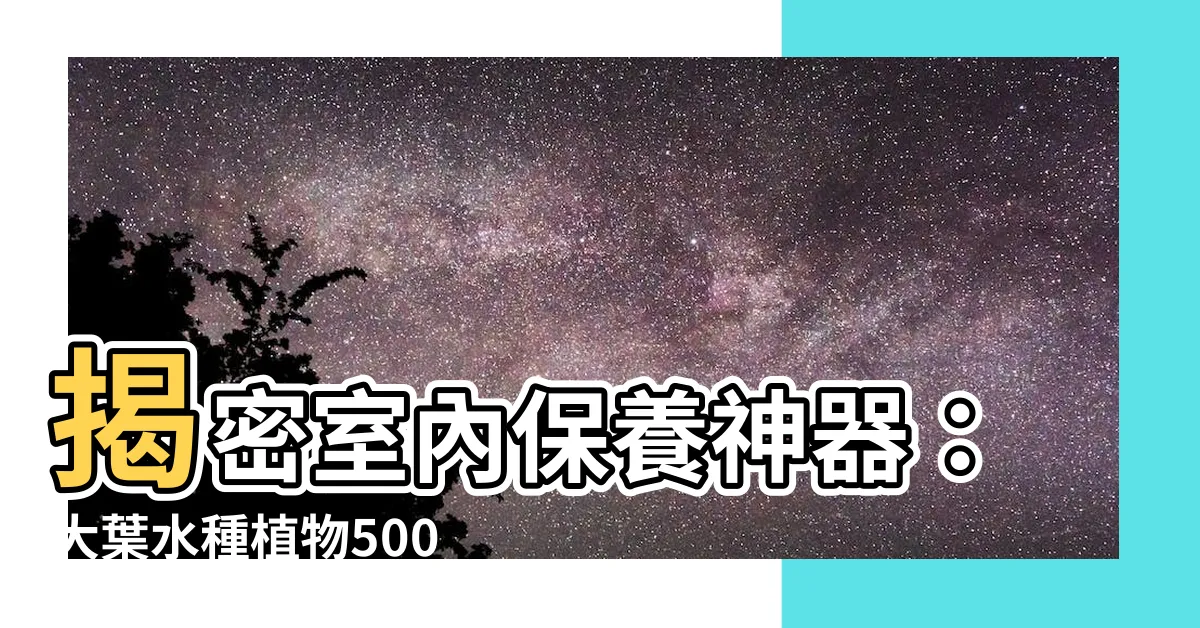 【大葉水種植物】揭密室內保養神器：大葉水種植物500強排行榜！