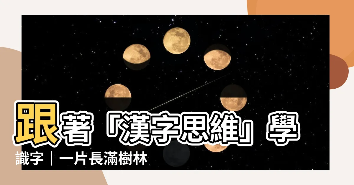 【長著一片樹林的土堆】跟著「漢字思維」學識字｜一片長滿樹林的神奇土堆