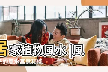 【風信子的風水意義】居家植物風水 |風信子的風水寓意和擺放位置 |風信子的風水作用 |
