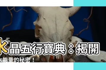 【屬木水晶】水晶五行寶典：揭開屬木能量的秘密！