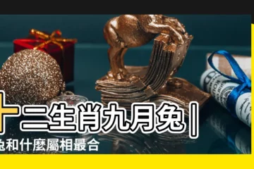 【十二生肖九月兔和什麼最配】十二生肖九月兔 |屬兔和什麼屬相最合 |揭秘你的緣分之謎 |