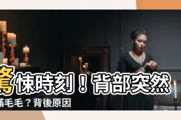 【背部突然長毛】驚悚時刻！背部突然長滿毛毛？背後原因你一定想不到！
