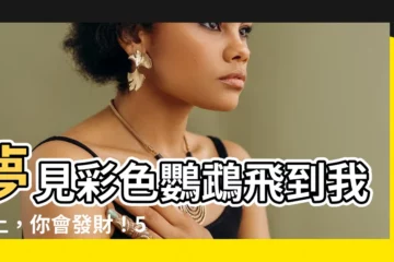 【夢見鸚鵡在手上】夢見彩色鸚鵡飛到我手上，你會發財！5種鳥落在身上的徵兆和含義