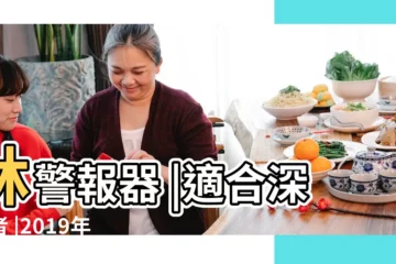 【2019年四月六號打掃牀】牀警報器 |適合深睡者 |2019年9月 |