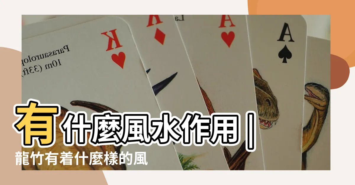 【龍爪竹風水】有什麼風水作用 |龍竹有着什麼樣的風水效果 |為什麼龍竹要養五根 |