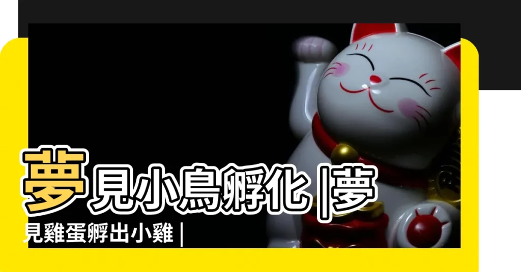 夢見小鳥孵化 |夢見雞蛋孵出小雞 |夢到很多小雞仔 |【夢見牀上有好多剛孵出的小雞】