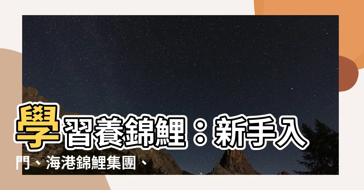 【養錦鯉】學習養錦鯉：新手入門、海港錦鯉集團、密集飼養及餵食技巧