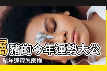 【屬豬的今年運勢】屬豬的今年運勢大公開！豬年運程怎麼樣？