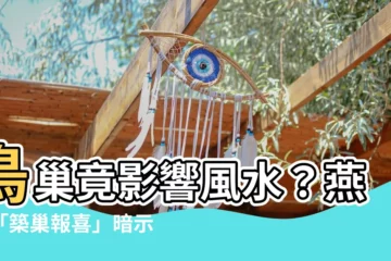 【築巢 風水】鳥巢竟影響風水？燕子「築巢報喜」暗示4生肖運勢亨通