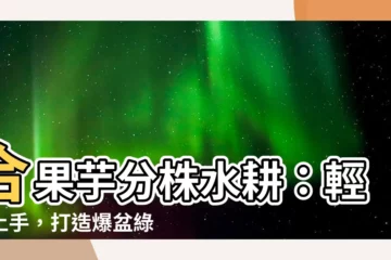 【合果芋分株水耕】合果芋分株水耕：輕鬆上手，打造爆盆綠手指！