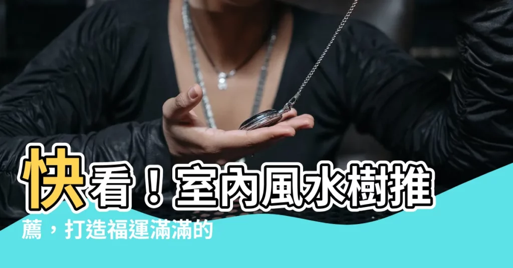 【室內風水樹】快看！室內風水樹推薦，打造福運滿滿的居家環境
