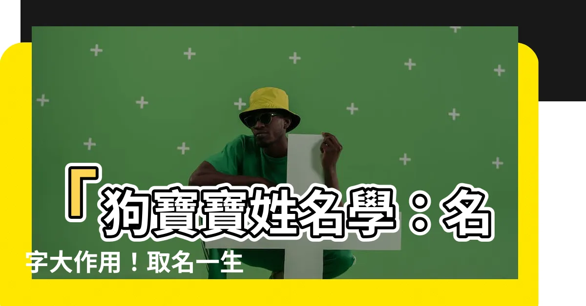 【屬狗姓名】「狗寶寶姓名學：名字大作用！取名一生旺旺旺」