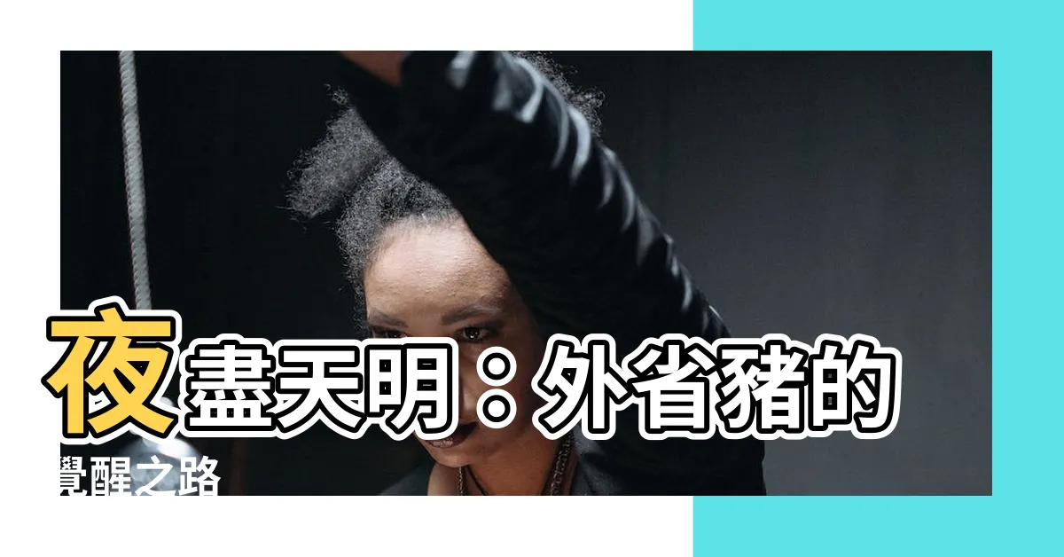 【夜盡天明的外省豬】夜盡天明：外省豬的覺醒之路