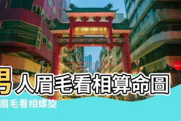 【男左邊眉毛帶螺旋】男人眉毛看相算命圖解 |眉毛看相螺旋眉螺旋眉面相算命圖解 |觀相知人 |