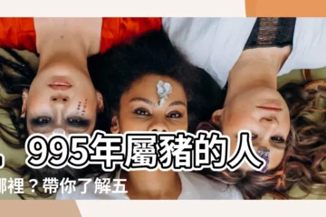 【1995 豬 五行】1995年屬豬的人在哪裡？帶你瞭解五行命格的奧秘