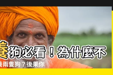 【為什麼不能養兩隻狗】養狗必看！為什麼不能養兩隻狗？後果你可能無法承受