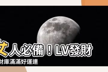 【什麼是發財包】女人必備！LV發財包 財庫滿滿好運連連