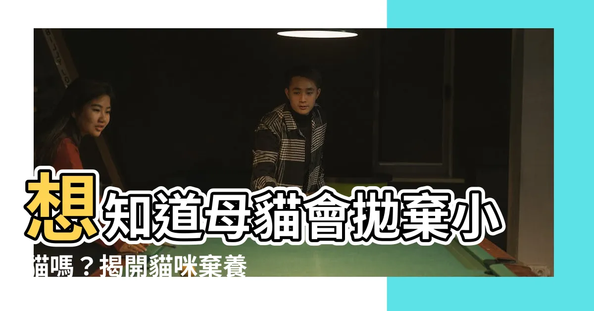 【母貓會拋棄小貓嗎】想知道母貓會拋棄小貓嗎？揭開貓咪棄養小貓的原因