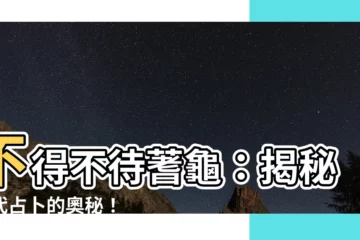 【不待蓍龜】不得不待蓍龜：揭秘古代占卜的奧秘！