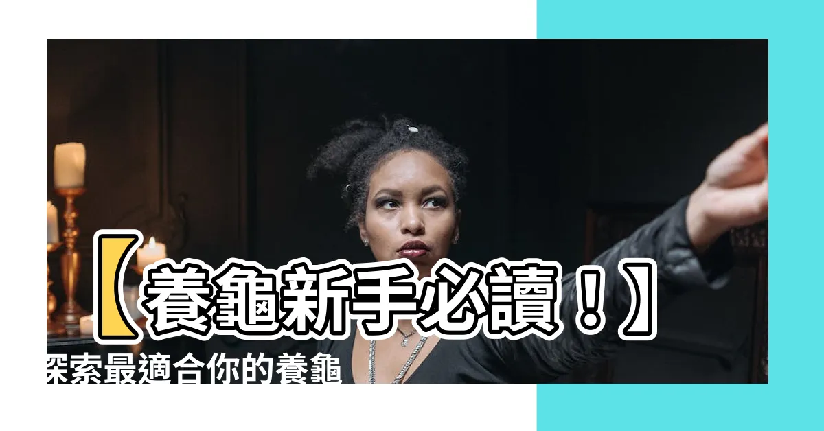 【養龜品種】【養龜新手必讀！】探索最適合你的養龜品種攻略