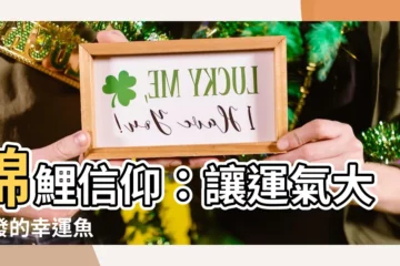 【錦鯉】錦鯉信仰：讓運氣大爆發的幸運魚