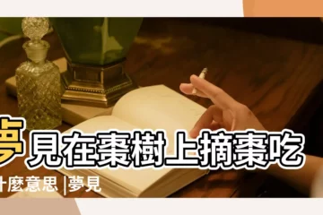 【夢見樹上摘棗吃】夢見在棗樹上摘棗吃是什麼意思 |夢見摘棗是什麼意思有什麼預兆 |夢見在棗樹上摘棗吃 |