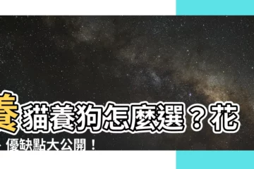 【養狗 養貓】養貓養狗怎麼選？花費、優缺點大公開！