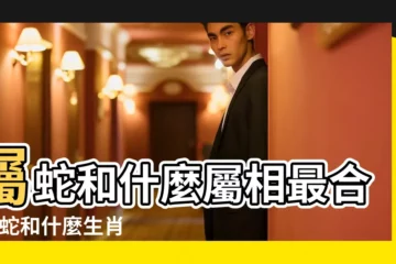 【屬蛇和什麼屬相最配】屬蛇和什麼屬相最合 |屬蛇和什麼生肖的人最配合適配偶 |屬蛇的和什麼屬相最配 |