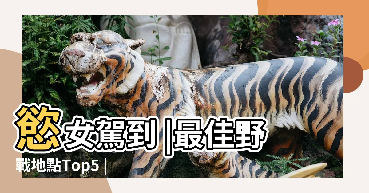 【野外做愛地點】慾女駕到 |最佳野戰地點Top5 |讓女生告訴你她們最享受野戰聖地 |