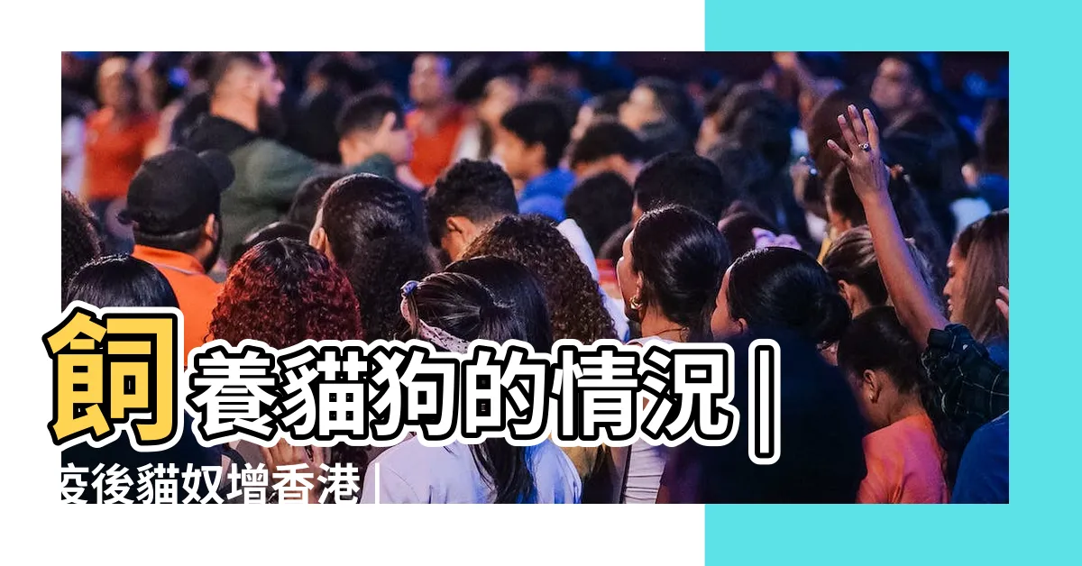 【香港養寵物人數2023】飼養貓狗的情況 |疫後貓奴增香港 |規模逾18億港元 |