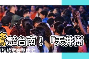 【天井樹】驚豔台南！「天井樹」打造綠意奢華住宅，2024 年購屋首選