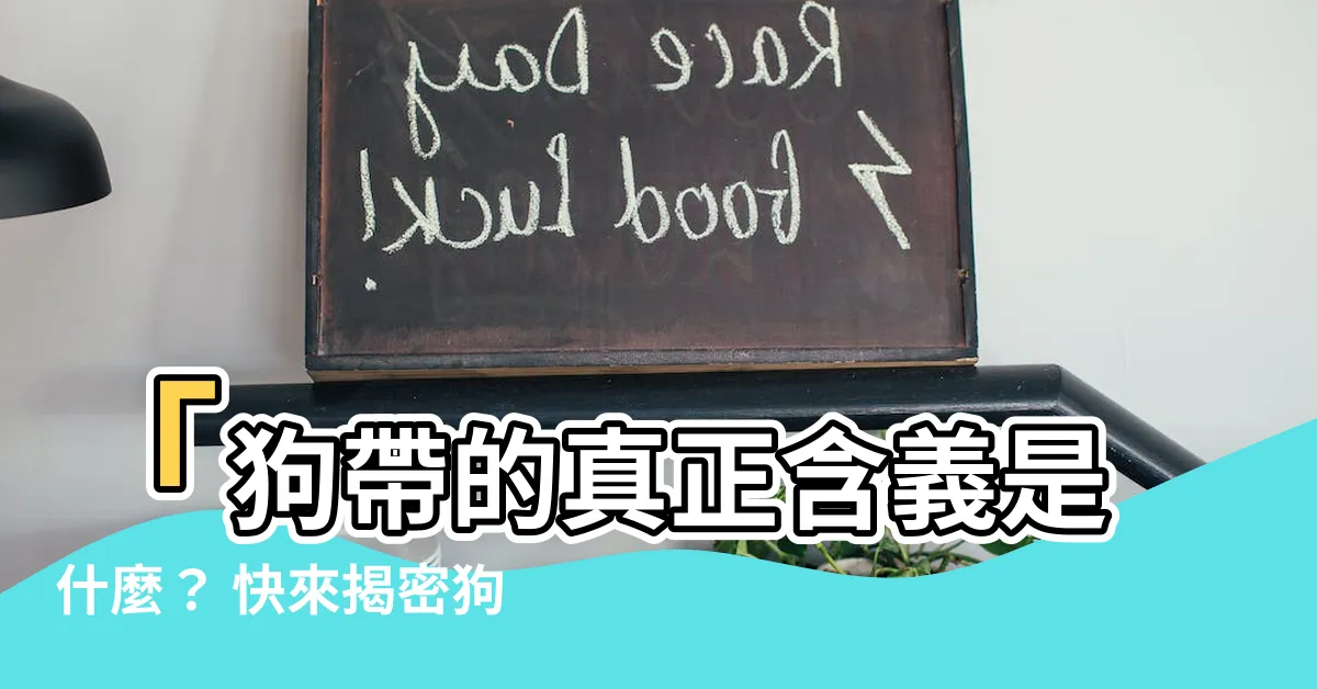 【狗帶 意思】「狗帶的真正含義是什麼？ 快來揭密狗帶的獨特意思！」