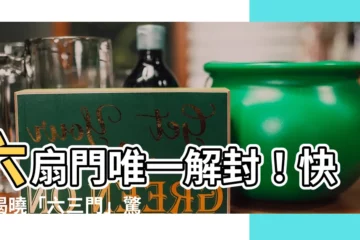 【六三門】六扇門唯一解封！快來揭曉「六三門」驚天秘密