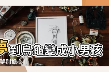 【夢見龜變成男孩】夢到烏龜變成小男孩 |好夢別擔心 |夢見烏龜變成小孩是什麼 |