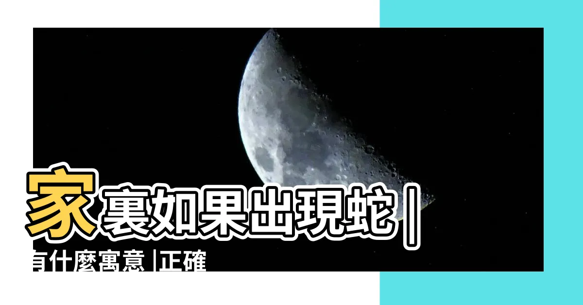 【家中有蛇】家裏如果出現蛇 |有什麼寓意 |正確做法原來是這樣 |