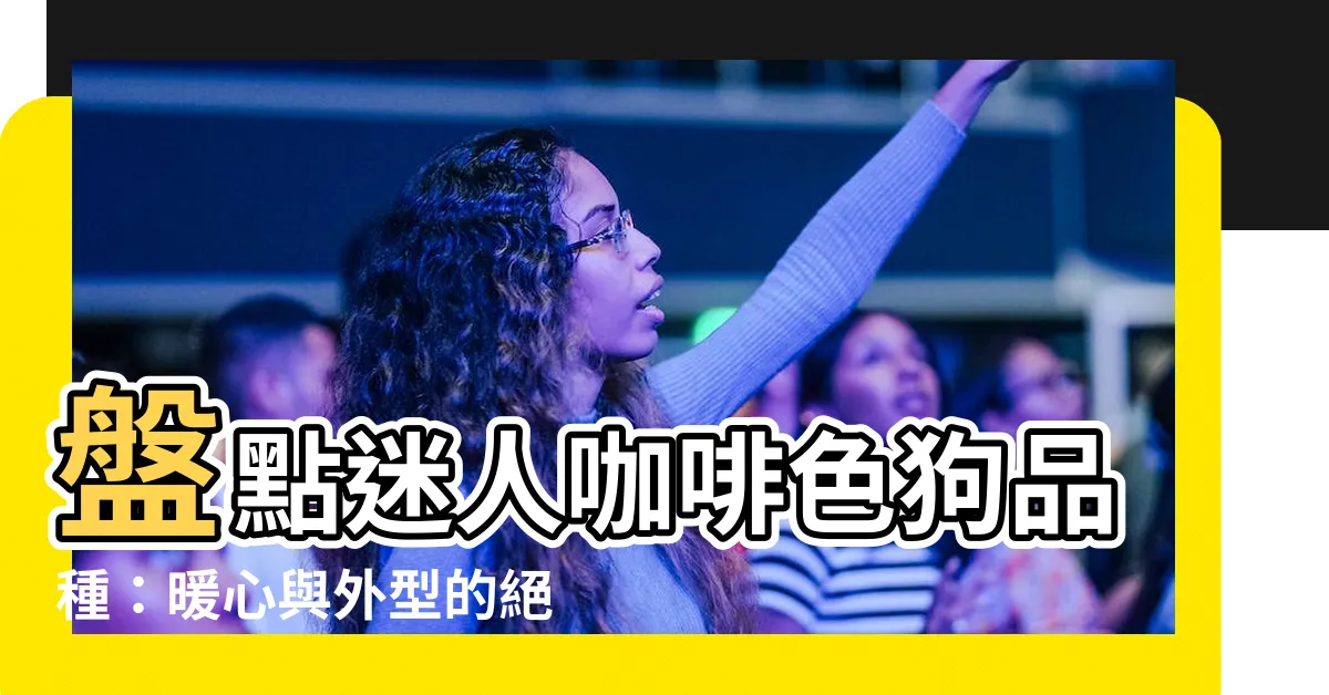 【咖啡色狗品種】盤點迷人咖啡色狗品種：暖心與外型的絕佳搭配！