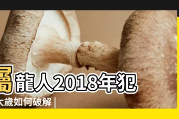【屬龍的2018年 太歲】屬龍人2018年犯衝太歲如何破解 |2018年犯太歲的生肖 |2018年生肖運程 |